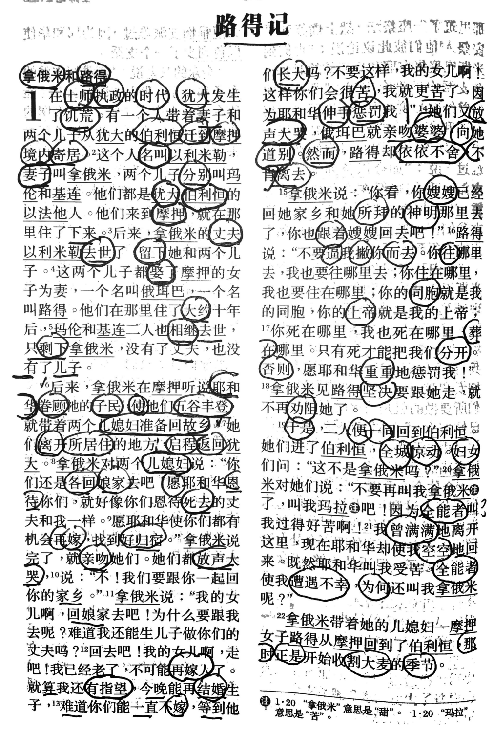 A page from the Chinese Bible heavily annotated with notes and character lookups.